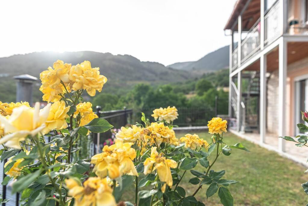 Апартаменты Dimitri'S Mountain House Карпенисион Экстерьер фото